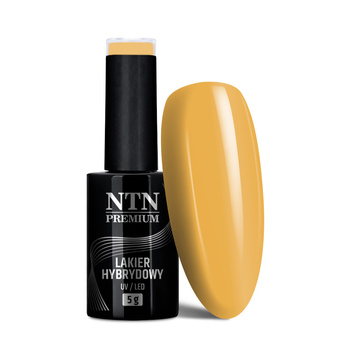 Esmalte híbrido NTN Premium Seductive Collection 5 g n.º 129