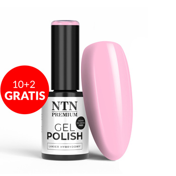 10 + 2 gratis. Esmalte híbrido LED/UV Gel Polish NTN Premium Dessert Collection n.º 93, sin HEMA ni Di-HEMA, 5 g
