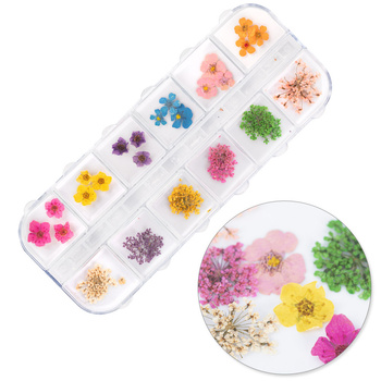 Flores secas para decorar las uñas en estuche Molly Nails, tipo B, 36 unidades