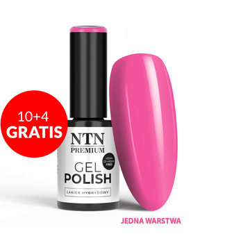 10 + 4 gratis. Esmalte híbrido LED/UV Gel Polish Pinks n.º 543, edición limitada NTN Premium, sin HEMA ni Di-HEMA, 5 g