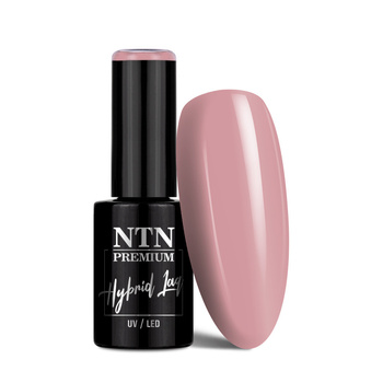 Vernis hybride NTN Premium Romantica Collection 5 g n° 106