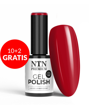 10 + 2 gratis: NTN Premium Celebration Collection HEMA/Di-HEMA-freier Hybridlack, 5 g, Nr. 168