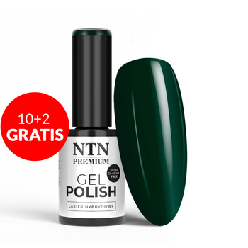10 + 2 gratis: NTN Premium After Midnight Collection HEMA/Di-HEMA-freier Hybridlack, 5 g, Nr. 71