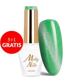 5+1 gratis Molly Nails Neon Flashy Cat Eye HEMA Free Hybridlack 8 g Nr. 177