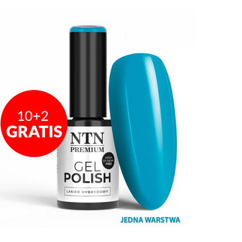 10 + 2 gratuits - Vernis hybride LED/UV Gel Polish Blues n° 503 Édition limitée NTN Premium sans HEMA/Di-HEMA 5 g