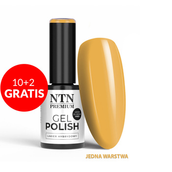 10 + 2 gratuits - Vernis hybride LED/UV Gel Polish NTN Premium Show Collection n° 110 sans HEMA/Di-HEMA, 5 g