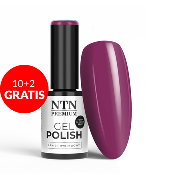 10 + 2 gratuits - Vernis hybride LED/UV Gel Polish NTN Premium Limited Edition n° 389 sans HEMA/Di-HEMA, 5 g
