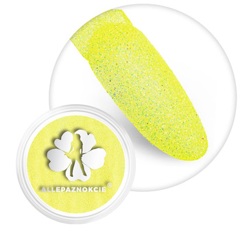 Brokat pour ongles en pot n° 13 2 g
