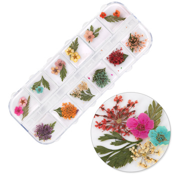 Fleurs séchées pour la décoration des ongles, en coffret Molly Nails, type E, 36 pièces