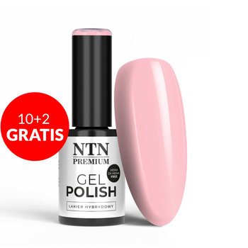 10 + 2 gratuits - Vernis hybride NTN Premium Delicate French sans HEMA/Di-HEMA, 5 g, n° 300