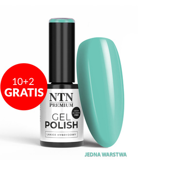 10 + 2 gratuits - Vernis hybride LED/UV Gel Polish NTN Premium Soft Touch Collection n° 08, sans HEMA ni Di-HEMA, 5 g