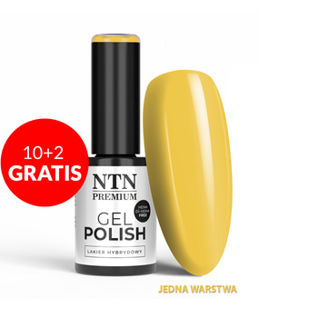 10 + 2 gratuits - Vernis hybride LED/UV Gel Polish NTN Premium Édition limitée n° 381 sans HEMA/Di-HEMA, 5 g