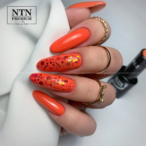 Lakier hybrydowy Ntn Premium Ambrosia Collection 5g Nr 162