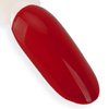 10+2gratis Lakier hybrydowy NTN Premium Fiesta Collection HEMA/Di-HEMA Free 5g Nr 78