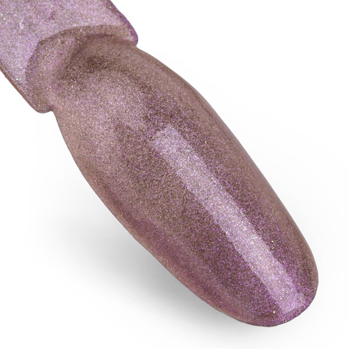 Nagelstaub Chameleon Effect Allepaznokcie Nr. 6