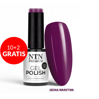 10+2 безкоштовно Гібридний лак NTN Premium After Midnight Collection HEMA/Di-HEMA Free 5 г № 64