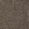 Glitter Dust Nagelstaub 5 g Nr. 6