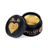 ProArt Paste Molly Nails Gold HEMA/Di-HEMA Free 5g No. 16
