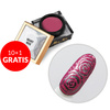 10 + 1 gratis Creative Flow Color Gel - Gel creativo para Nail Art con efecto difuminado y diseños suaves Molly Nails Velvet Rose sin HEMA/Di-HEMA 5 g