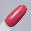 Гібридний лак NTN Premium Limited Edition 5 г № 341