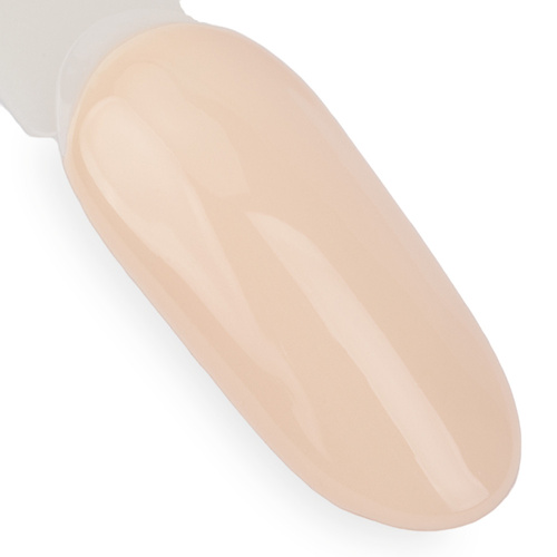 Smalto ibrido NTN Premium Day Dreaming Collection 5G NR 61