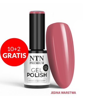 10 + 2 gratis. Esmalte híbrido LED/UV Gel Polish NTN Premium, colección Uptown Girl, n.º 23, sin HEMA ni Di-HEMA, 5 g