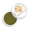 Poudre pour ongles Pastel Holo Rainbow Allepaznokcie 0,5 g N° 04