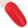 10 + 2 gratis: NTN Premium After Midnight Collection HEMA/Di-HEMA-freier Hybridlack 5 g Nr. 66