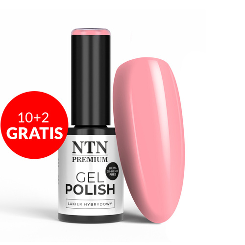 10 + 2 gratis LED/UV-Hybridlack NTN Premium Miss Universe Collection Nr. 32 HEMA/Di-HEMA-frei 5 g