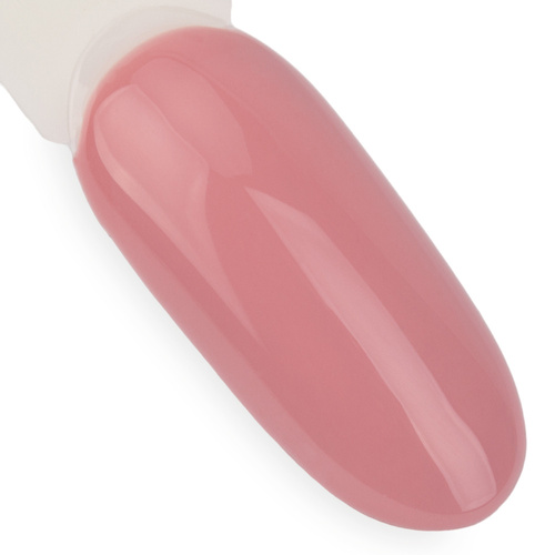 Lakier hybrydowy NTN Premium Day Dreaming Collection HEMA/Di-HEMA Free 5g Nr 58