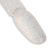 Polvere per unghie Frosty Chameleon Allepaznokcie Dust barattolo da 1 g