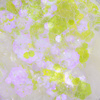 MollyLac Nagelglitter „Bling Bling Effect“ 1 g Nr. 06