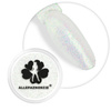 Nagelstaub Frozen Dust Allepaznokcie Glas 1 g
