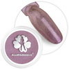 Polvere per unghie Chameleon Effect Allepaznokcie n. 6