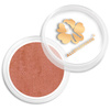 Chameleon Effect Nail Powder Allepaznokcie No. 14
