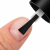 Base sans acide Acid Free NTN Premium 5 ml