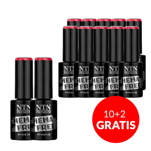 10+2gratis Lakier hybrydowy NTN Premium Springtime selfie HEMA/Di-HEMA Free 5g Nr 281