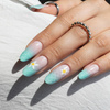 Blooming Gel MollyNails: gel para decoraciones en húmedo, sin HEMA ni Di-HEMA, 10 g