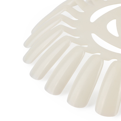 Round nail polish template, 24 tips