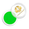 Smoke Nails nail powder, smoke effect, Allepaznokcie neon green No. 02