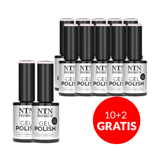 10 + 2 gratuits Vernis hybride NTN Premium Delicate French sans HEMA/Di-HEMA 5 g n° 303