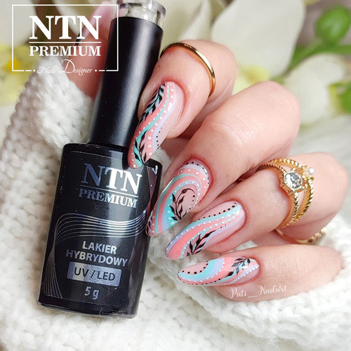 Lakier hybrydowy Ntn Premium Drama Queen 5g Nr 211