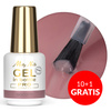 10+1gratis Żel budujący w butelce z pędzelkiem Gel in Bottle Molly Nails Pro Salon Biscotti HEMA/Di-HEMA Free 15g