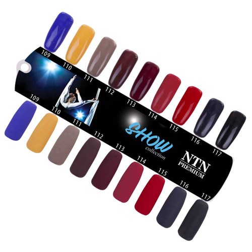 Lakier hybrydowy Ntn Premium Show Collection 5g Nr 111