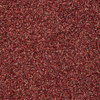 Pyłek do paznokci Glitter Dust 5 g Nr 5