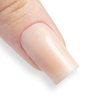 10 + 1 gratuit Gel de construction thixotrope AlleLac Tixo Builder Gel ProLatte 45 g