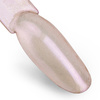 Nagelstaub Chameleon Effect Allepaznokcie Nr. 6