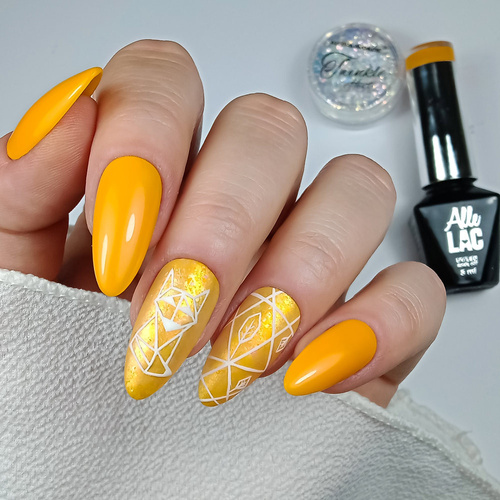 Twinkle Effect Nail Dust Allepaznokcie No. 5