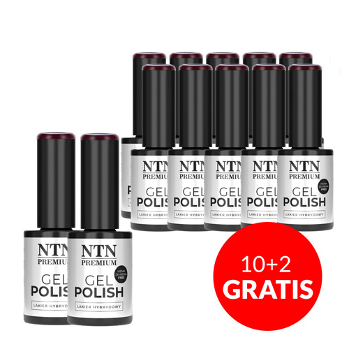 10+2gratis Lakier hybrydowy NTN Premium Oriental Delice HEMA/Di-HEMA Free 5g Nr 267