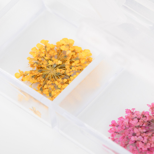 Getrocknete Blumen zur Nagelverzierung in einer Schachtel von Molly Nails, Typ B, 36 Stück